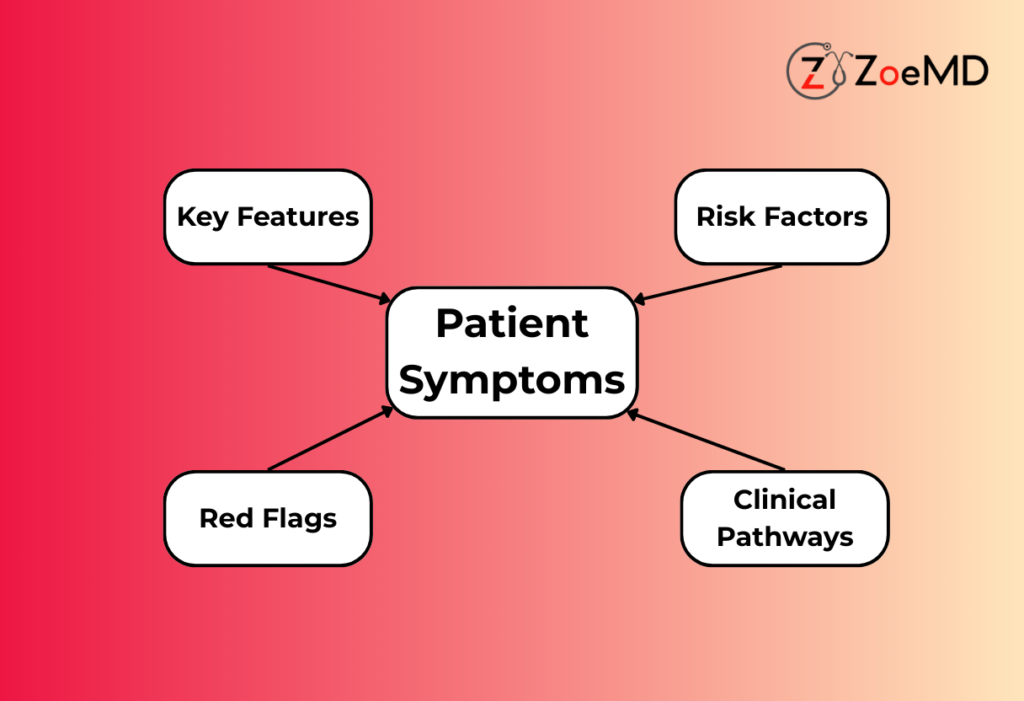Conversational AI system helping clinicians analyze patient symptoms